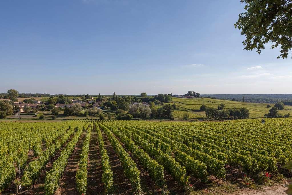 Hotel du Château d'Arche, Grand Cru Classé de Sauternes Facilidades foto