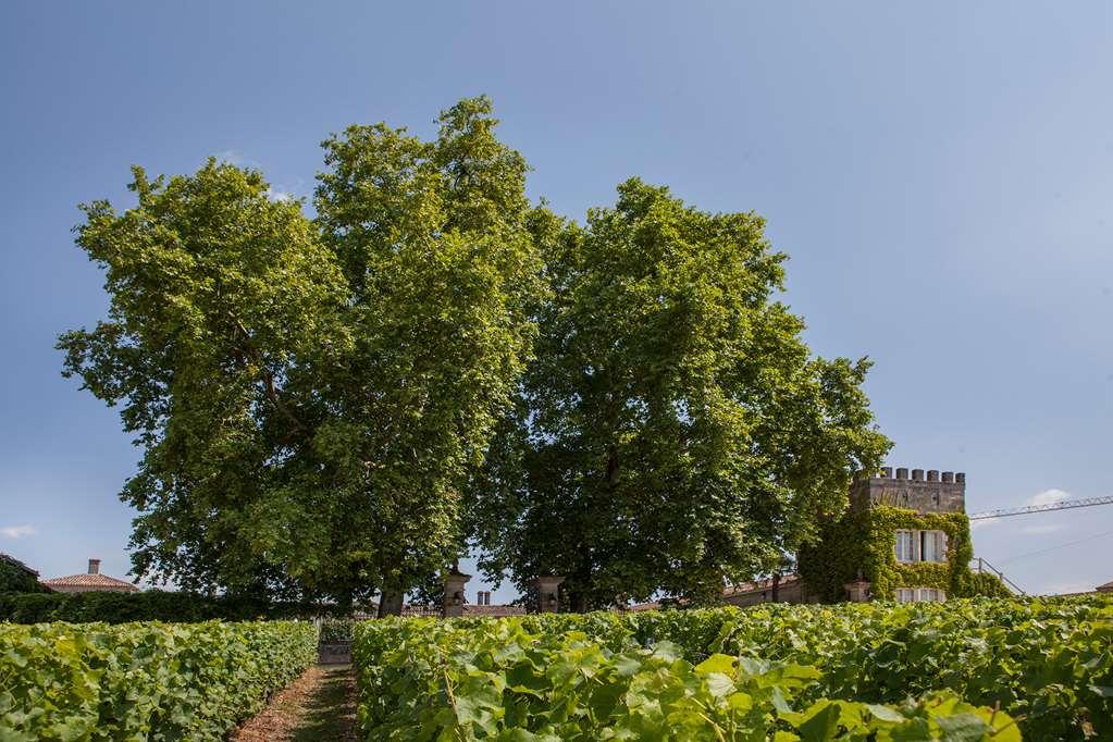 Hotel du Château d'Arche, Grand Cru Classé de Sauternes Facilidades foto