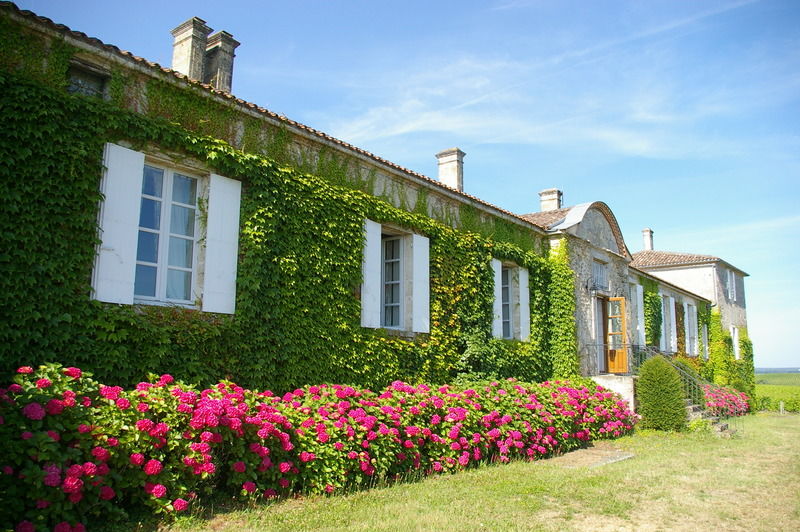 Hotel du Château d'Arche, Grand Cru Classé de Sauternes Exterior foto